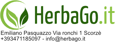 logo herbago it completo