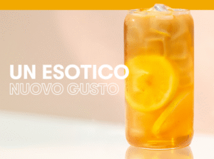 infuso mango dragonfruit
